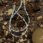 ⁦שרשרת מיילי זהב⁩ – תמונה ⁦5⁩